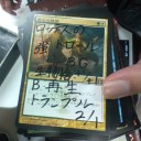 生存報告