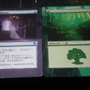折れそうorz