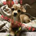 明けましておめでとうございます。