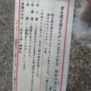 初詣