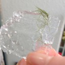 連休も明日で終わり日常が始まる。