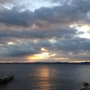 むさ家  新年近況