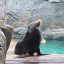1/5 ジムチャレかまくら屋とそれから