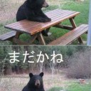 1月9日の日記