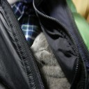 改革！　“すぐやる課１人の溜めと実力”　の巻