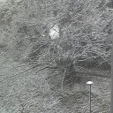 大雪になった！！