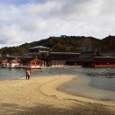 週末記～5,6日：静岡、12,13,14日：広島～