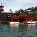 週末記～5,6日：静岡、12,13,14日：広島～