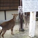 週末記～5,6日：静岡、12,13,14日：広島～