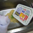 1月18日の日記