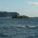 釣初め