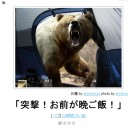 恒例行事