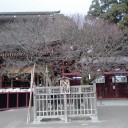 頼んできました！他