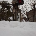 白石おもしろいし。