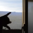 隣家の屋根、