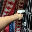 ネコちゃんず840日目