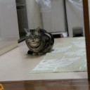 あー、テスツ、テスツ