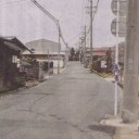 バレンタイン鉢植え＆町内交通死について