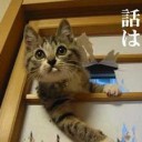 2月1日の日記