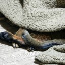 だらさ無限大　“見よ！これが私の生きる道”　の巻