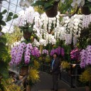 2013年2月2日花回廊へ