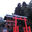 神社に行きました