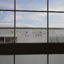 お向かいの屋根。