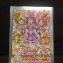 ドキドキ！プリキュア　#01　排出結果