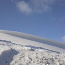 もう完全に春。