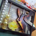 明日の予定  私信あり