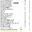 2/9 ジムチャレポ　（ファイヤーボール　あるあるCity店）②