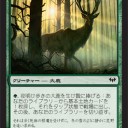 ターボランド徒然2