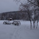 アラスカでオーロラ（８）