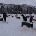 アラスカでオーロラ（９）