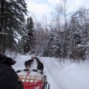 アラスカでオーロラ（１０）