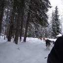 アラスカでオーロラ（１０）