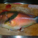 久々のフカセ釣り
