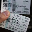 フェブラリーS2013の回顧