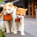 でし