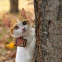 でし