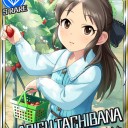 アリストクラートじゃなくてアリスゲームになっちまった・・