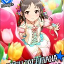 アリストクラートじゃなくてアリスゲームになっちまった・・