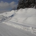 正しい？北海道…
