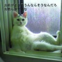 2月21日の日記