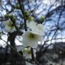 諸々の話（2/24）