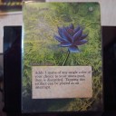 【拡張アート】Black Lotus
