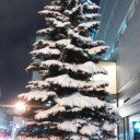 札幌人がクリスマス飾りに不熱心な理由。