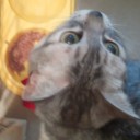 おすわり！