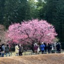 公園ーイベント