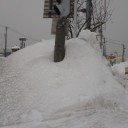 まぁこんな札幌。